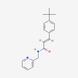 molecular formula C19H22N2O B5755935 3-(4-tert-butylphenyl)-N-(2-pyridinylmethyl)acrylamide 