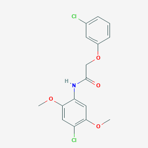 molecular formula C16H15Cl2NO4 B5756876 N-(4-chloro-2,5-dimethoxyphenyl)-2-(3-chlorophenoxy)acetamide 