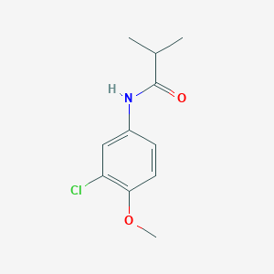 molecular formula C11H14ClNO2 B5757996 N-(3-chloro-4-methoxyphenyl)-2-methylpropanamide 