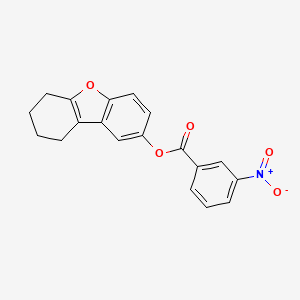molecular formula C19H15NO5 B5758019 6,7,8,9-tetrahydrodibenzo[b,d]furan-2-yl 3-nitrobenzoate 