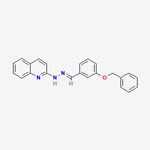molecular formula C23H19N3O B5758089 3-(benzyloxy)benzaldehyde 2-quinolinylhydrazone 