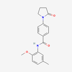 molecular formula C19H20N2O3 B5758384 N-(2-methoxy-5-methylphenyl)-4-(2-oxo-1-pyrrolidinyl)benzamide 