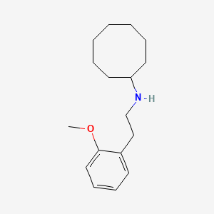 N-[2-(2-methoxyphenyl)ethyl]cyclooctanamine