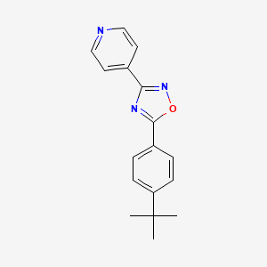 molecular formula C17H17N3O B5761019 4-[5-(4-tert-butylphenyl)-1,2,4-oxadiazol-3-yl]pyridine 
