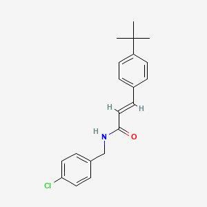 molecular formula C20H22ClNO B5762336 3-(4-tert-butylphenyl)-N-(4-chlorobenzyl)acrylamide 