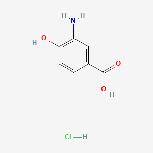 molecular formula C7H8ClNO3 B576424 3-氨基-4-羟基苯甲酸盐酸盐 CAS No. 1571-65-9
