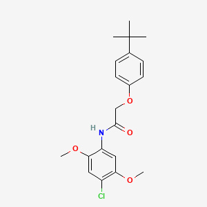 molecular formula C20H24ClNO4 B5765251 2-(4-tert-butylphenoxy)-N-(4-chloro-2,5-dimethoxyphenyl)acetamide 