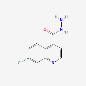 7-Chloroquinoline-4-carbohydrazide