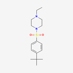 molecular formula C16H26N2O2S B5765627 1-[(4-tert-butylphenyl)sulfonyl]-4-ethylpiperazine 