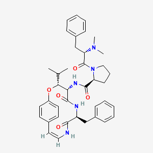 molecular formula C39H47N5O5 B576730 Scutianine A CAS No. 14051-13-9