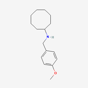molecular formula C16H25NO B5767525 N-(4-methoxybenzyl)cyclooctanamine 