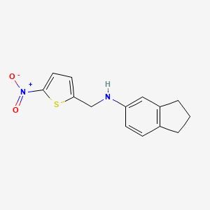 molecular formula C14H14N2O2S B5767902 2,3-dihydro-1H-inden-5-yl[(5-nitro-2-thienyl)methyl]amine 