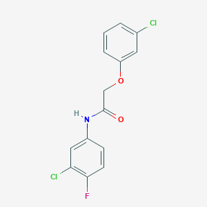 molecular formula C14H10Cl2FNO2 B5768042 N-(3-chloro-4-fluorophenyl)-2-(3-chlorophenoxy)acetamide 