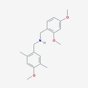 molecular formula C19H25NO3 B5769043 (2,4-dimethoxybenzyl)(4-methoxy-2,5-dimethylbenzyl)amine 