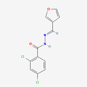 molecular formula C12H8Cl2N2O2 B5769444 2,4-dichloro-N'-(3-furylmethylene)benzohydrazide 