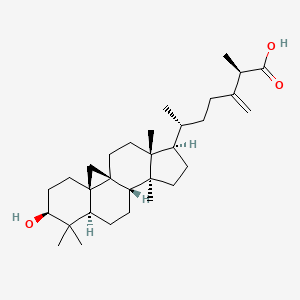 molecular formula C31H50O3 B577136 (2R,6R)-6-[(1S,3R,6S,8R,11S,12S,15R,16R)-6-hydroxy-7,7,12,16-tetramethyl-15-pentacyclo[9.7.0.01,3.03,8.012,16]octadecanyl]-2-methyl-3-methylideneheptanoic acid CAS No. 13878-93-8
