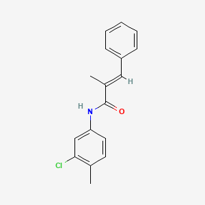 molecular formula C17H16ClNO B5771716 N-(3-chloro-4-methylphenyl)-2-methyl-3-phenylacrylamide 