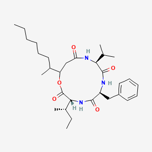 molecular formula C31H49N3O5 B577243 Beauverilide A CAS No. 13594-27-9