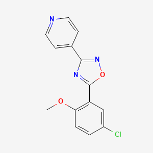 molecular formula C14H10ClN3O2 B5772908 4-[5-(5-chloro-2-methoxyphenyl)-1,2,4-oxadiazol-3-yl]pyridine 