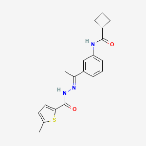 molecular formula C19H21N3O2S B5773946 N-(3-{N-[(5-methyl-2-thienyl)carbonyl]ethanehydrazonoyl}phenyl)cyclobutanecarboxamide 
