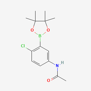 molecular formula C14H19BClNO3 B577414 N-(4-氯-3-(4,4,5,5-四甲基-1,3,2-二氧杂硼杂环-2-基)苯基)乙酰胺 CAS No. 1218789-92-4
