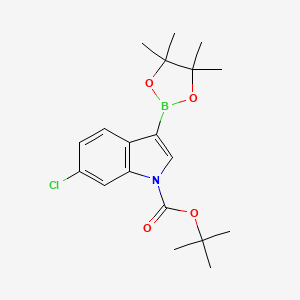 molecular formula C19H25BClNO4 B577441 6-氯-3-(4,4,5,5-四甲基-1,3,2-二氧杂硼环-2-基)-1H-吲哚-1-羧酸叔丁酯 CAS No. 1218790-24-9
