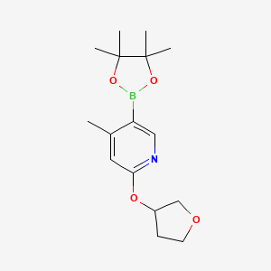 molecular formula C16H24BNO4 B577479 4-Methyl-2-((tetrahydrofuran-3-yl)oxy)-5-(4,4,5,5-tetramethyl-1,3,2-dioxaborolan-2-yl)pyridine CAS No. 1352741-89-9