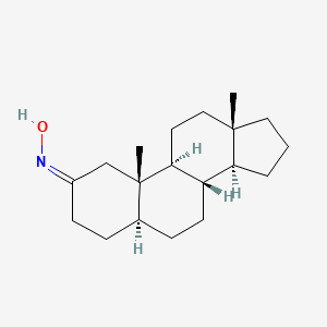 molecular formula C19H31NO B577480 5alpha-Androstan-2-one oxime CAS No. 14614-11-0