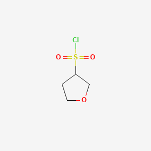molecular formula C4H7ClO3S B577511 Tetrahydrofuran-3-sulfonyl chloride CAS No. 1207346-29-9