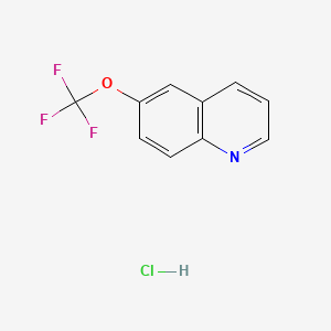 molecular formula C10H7ClF3NO B577523 6-(Trifluoromethoxy)quinoline hydrochloride CAS No. 1215206-34-0