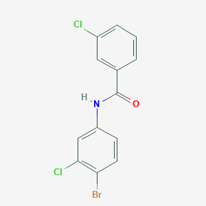 molecular formula C13H8BrCl2NO B5775252 N-(4-bromo-3-chlorophenyl)-3-chlorobenzamide 
