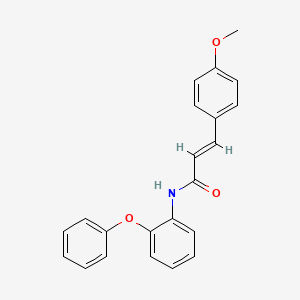 molecular formula C22H19NO3 B5775265 3-(4-methoxyphenyl)-N-(2-phenoxyphenyl)acrylamide 