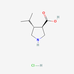 molecular formula C8H16ClNO2 B577540 (3R,4R)-rel-4-异丙基吡咯烷-3-羧酸盐酸盐 CAS No. 1330750-36-1