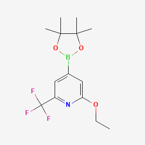 molecular formula C14H19BF3NO3 B577541 2-Ethoxy-4-(4,4,5,5-tetramethyl-1,3,2-dioxaborolan-2-yl)-6-(trifluoromethyl)pyridine CAS No. 1256359-30-4