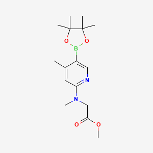molecular formula C16H25BN2O4 B577551 Methyl 2-(methyl(4-methyl-5-(4,4,5,5-tetramethyl-1,3,2-dioxaborolan-2-yl)pyridin-2-yl)amino)acetate CAS No. 1353745-96-6