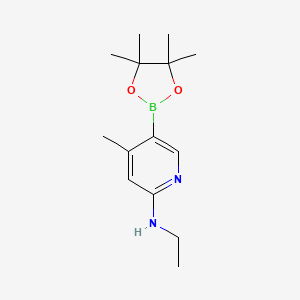 molecular formula C14H23BN2O2 B577562 n-Ethyl-4-methyl-5-(4,4,5,5-tetramethyl-1,3,2-dioxaborolan-2-yl)pyridin-2-amine CAS No. 1356363-78-4