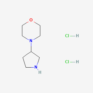 molecular formula C8H18Cl2N2O B577571 4-(3-Pyrrolidinyl)morpholine dihydrochloride CAS No. 1219979-89-1