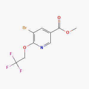 molecular formula C9H7BrF3NO3 B577576 Methyl 5-bromo-6-(2,2,2-trifluoroethoxy)nicotinate CAS No. 1211589-51-3