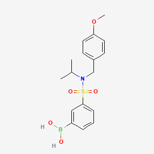 molecular formula C17H22BNO5S B577578 3-(N-Isopropyl-N-(4-methoxybenzyl)sulfamoyl)phenylboronic acid CAS No. 1217501-23-9
