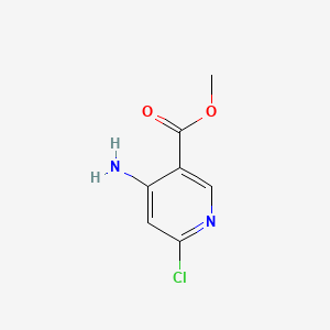 molecular formula C7H7ClN2O2 B577594 Methyl 4-amino-6-chloronicotinate CAS No. 1256785-40-6