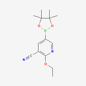 molecular formula C14H19BN2O3 B577597 2-Ethoxy-5-(4,4,5,5-tetramethyl-1,3,2-dioxaborolan-2-YL)nicotinonitrile CAS No. 1218791-35-5