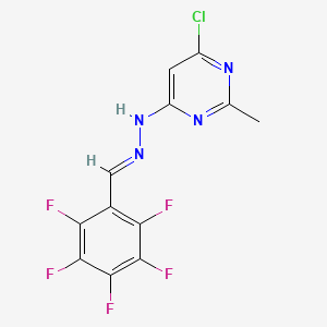 molecular formula C12H6ClF5N4 B5776030 2,3,4,5,6-pentafluorobenzaldehyde (6-chloro-2-methyl-4-pyrimidinyl)hydrazone 