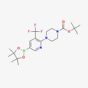 molecular formula C21H31BF3N3O4 B577611 Tert-butyl 4-(5-(4,4,5,5-tetramethyl-1,3,2-dioxaborolan-2-yl)-3-(trifluoromethyl)pyridin-2-yl)piperazine-1-carboxylate CAS No. 1246372-73-5