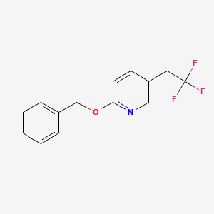 molecular formula C14H12F3NO B577615 2-(Benzyloxy)-5-(2,2,2-trifluoroethyl)pyridine CAS No. 1245646-58-5