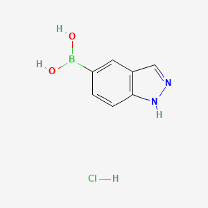 molecular formula C7H8BClN2O2 B577627 1H-Indazole-5-boronic acid hydrochloride CAS No. 1257738-46-7