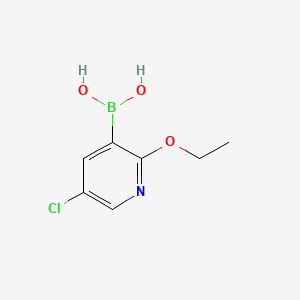 molecular formula C7H9BClNO3 B577634 (5-Chloro-2-ethoxypyridin-3-yl)boronic acid CAS No. 1217500-52-1