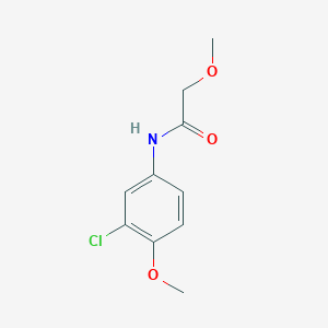 molecular formula C10H12ClNO3 B5776344 N-(3-chloro-4-methoxyphenyl)-2-methoxyacetamide 