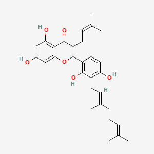 molecular formula C30H34O6 B577687 3'-香叶基-3-异戊烯基-2',4',5,7-四羟基黄酮 CAS No. 1334309-44-2