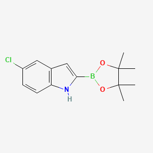molecular formula C14H17BClNO2 B577691 5-氯-2-(4,4,5,5-四甲基-1,3,2-二氧杂硼杂环-2-基)-1H-吲哚 CAS No. 1256358-91-4