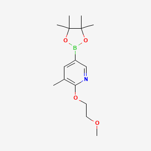 molecular formula C15H24BNO4 B577736 2-(2-甲氧基乙氧基)-3-甲基-5-(4,4,5,5-四甲基-1,3,2-二氧杂硼环丁烷-2-基)吡啶 CAS No. 1354712-71-2